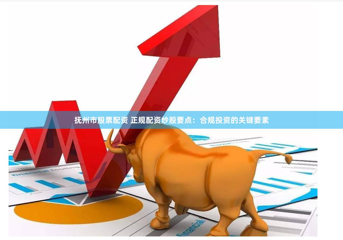 抚州市股票配资 正规配资炒股要点：合规投资的关键要素