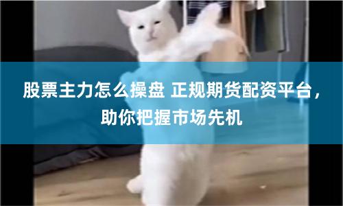股票主力怎么操盘 正规期货配资平台,助你把握市场先机